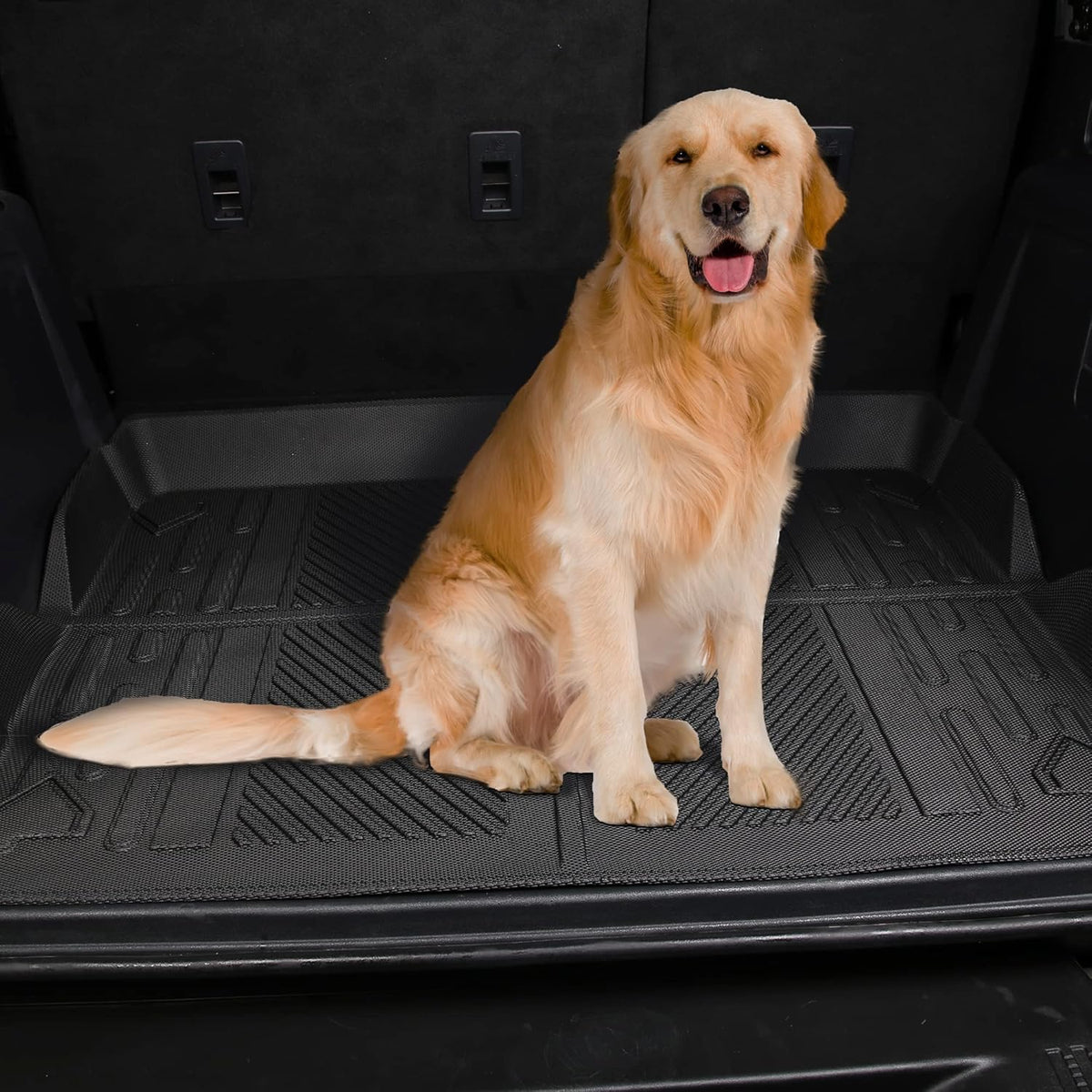 Cargo Liner Cargo Mat Pack of 2 A594