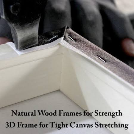 Canvas G481404
