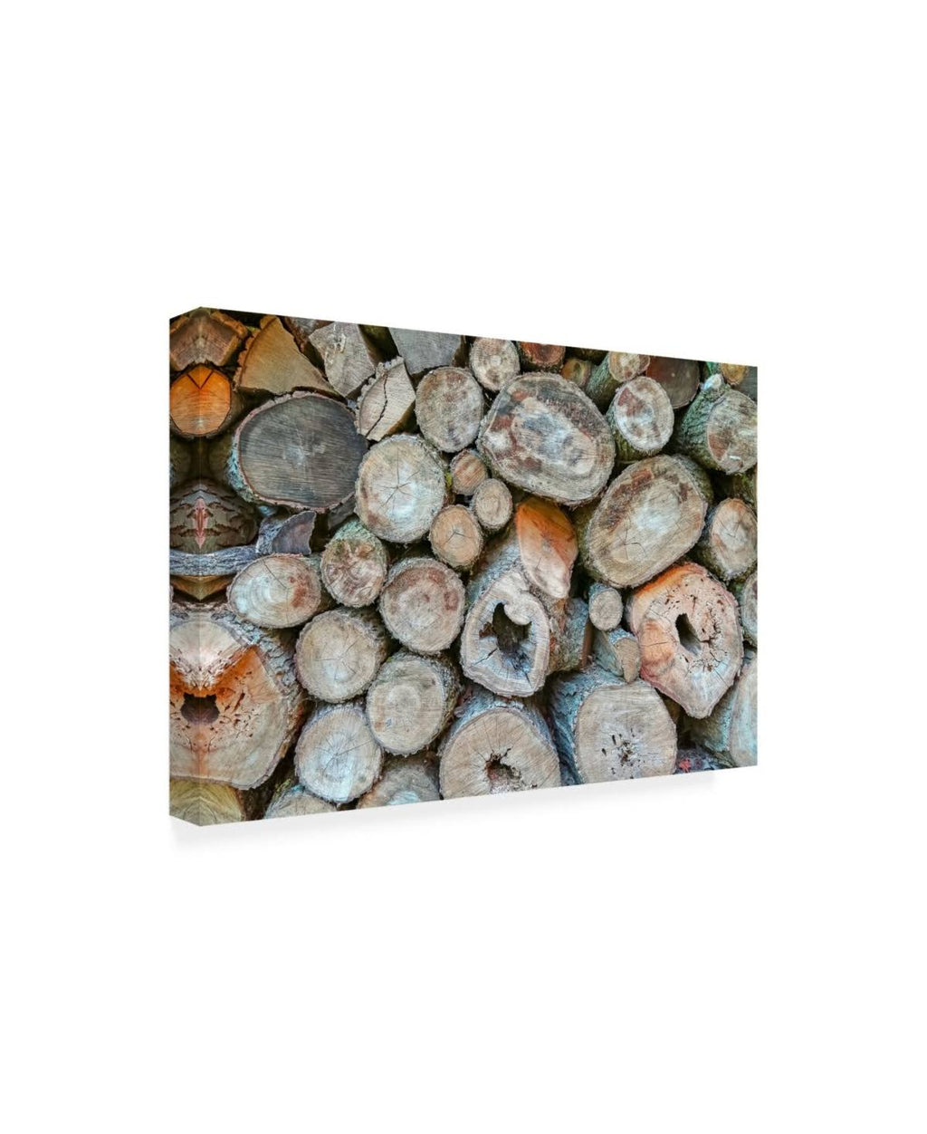 Canvas G481404
