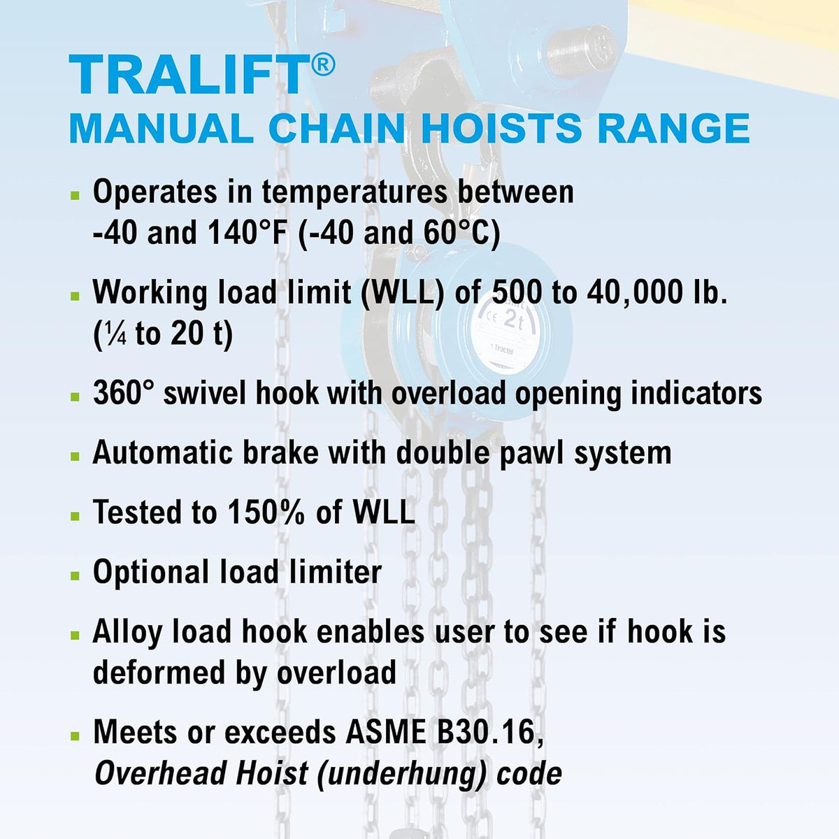 Heavy Duty Manual Chain Hoist 1 Ton 40 ft Lift Steel Chain T986009