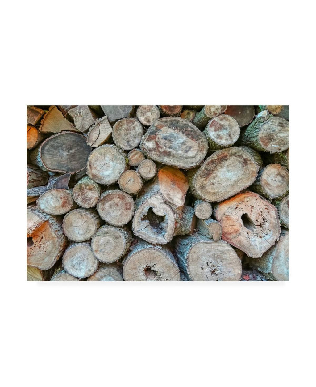 Canvas G481404