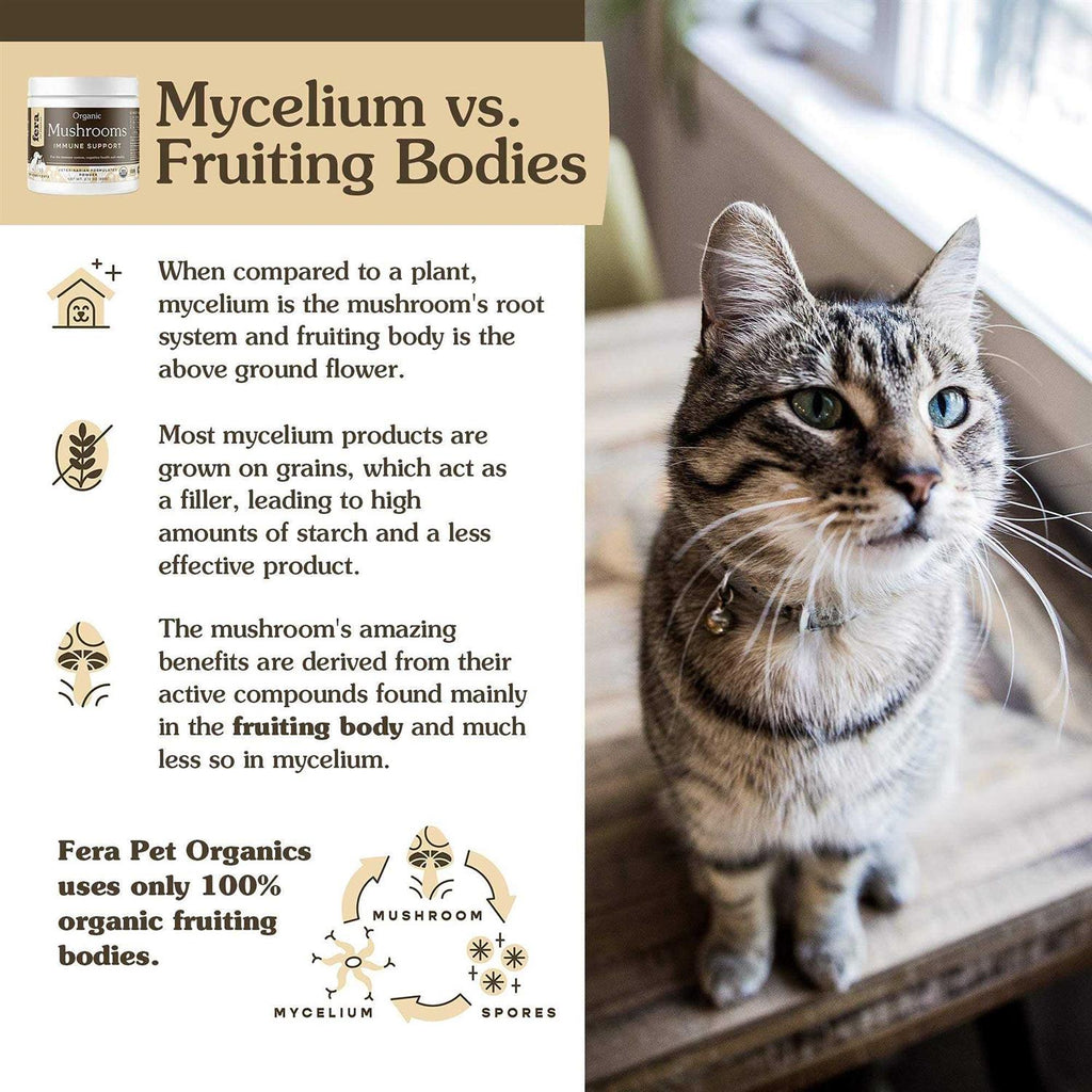 USDA Organic Mushrooms Immune Support for Dogs & Cats F533671