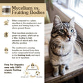 USDA Organic Mushrooms Immune Support for Dogs & Cats F533671