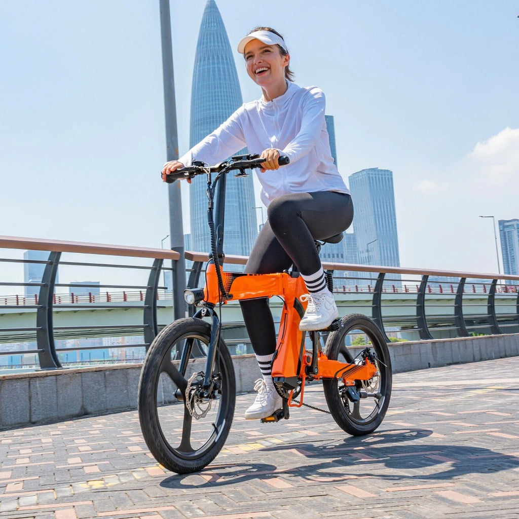 Foldable Electric Bicycle 7 Speed 500W Motor 36V Battery U861