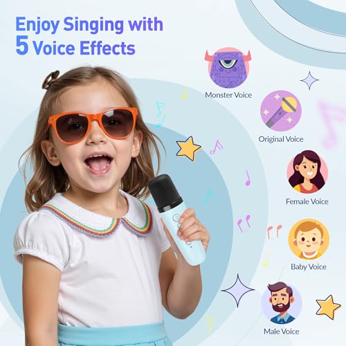 Portable Bluetooth Karaoke Speaker with 2 Wireless Microphones and Party Lights S90280