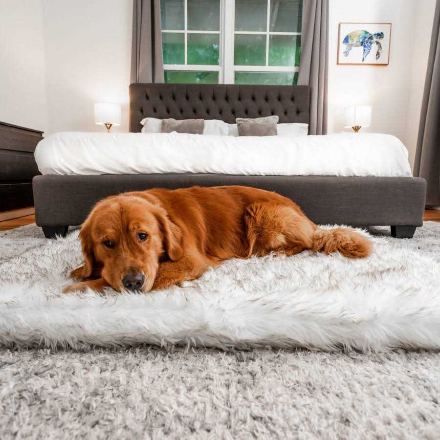 Faux Fur Orthopedic Dog Bed W3000