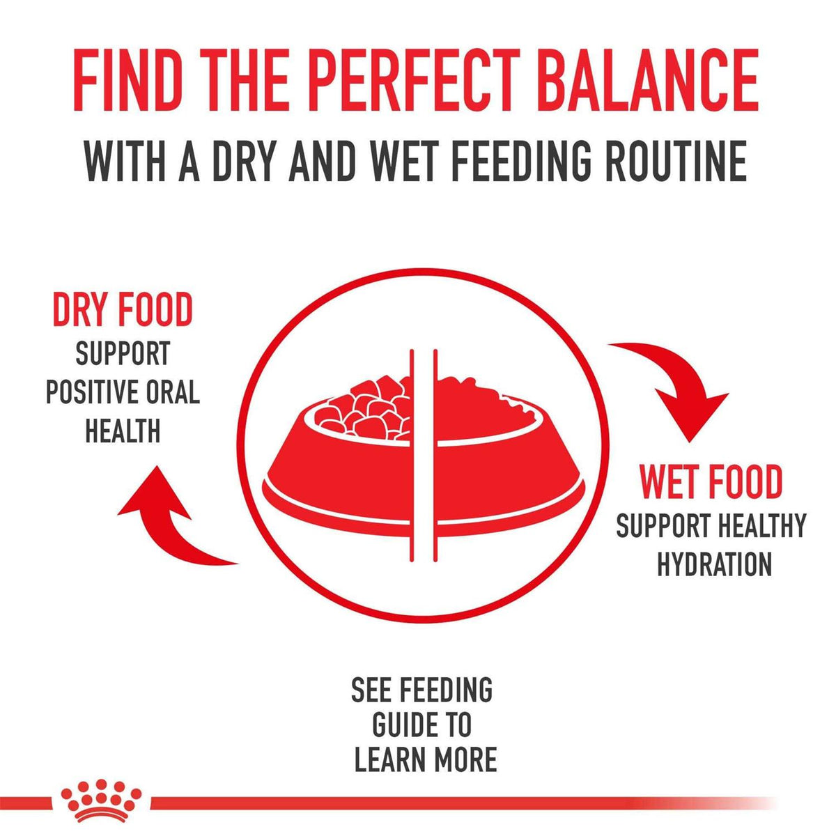 Adult Dry Dog Food V644402
