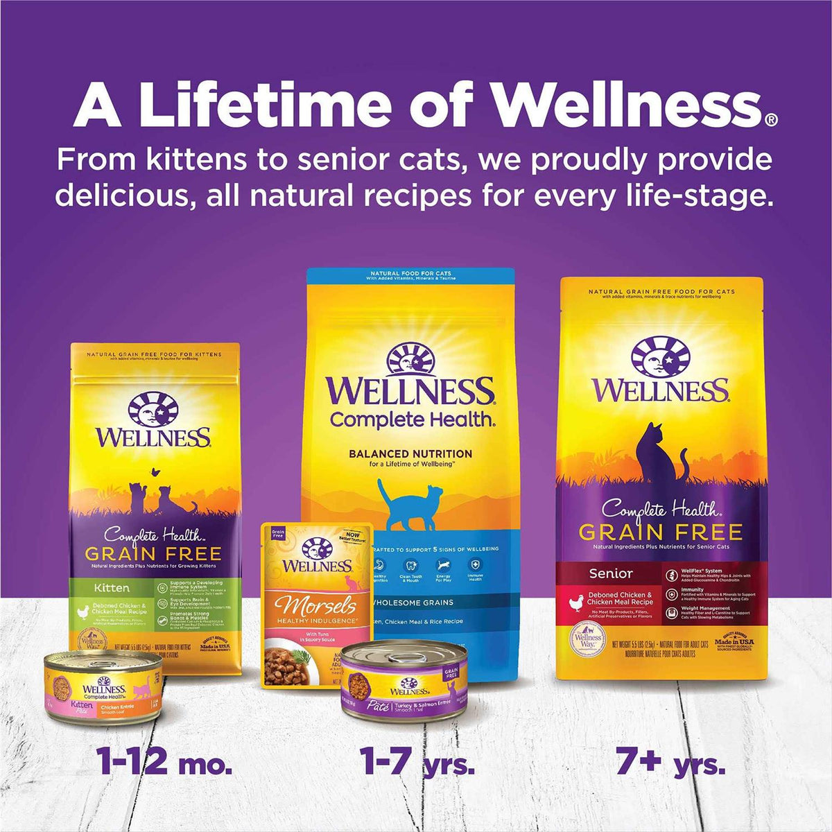 Kitten Canned Wet Cat Food Y596336