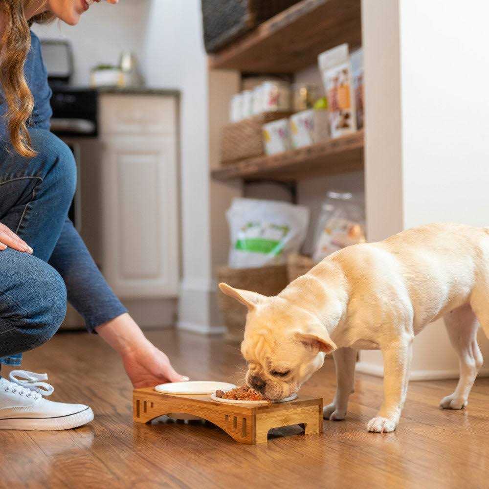 Grain-Free Dog Food Pre-Mix C798866