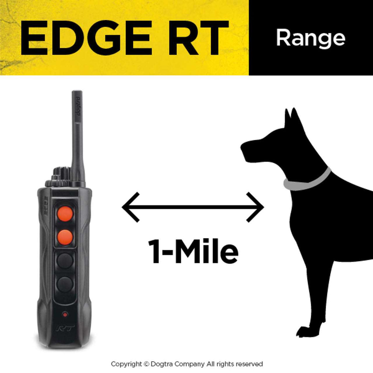 Dogtra EDGE RT B338828