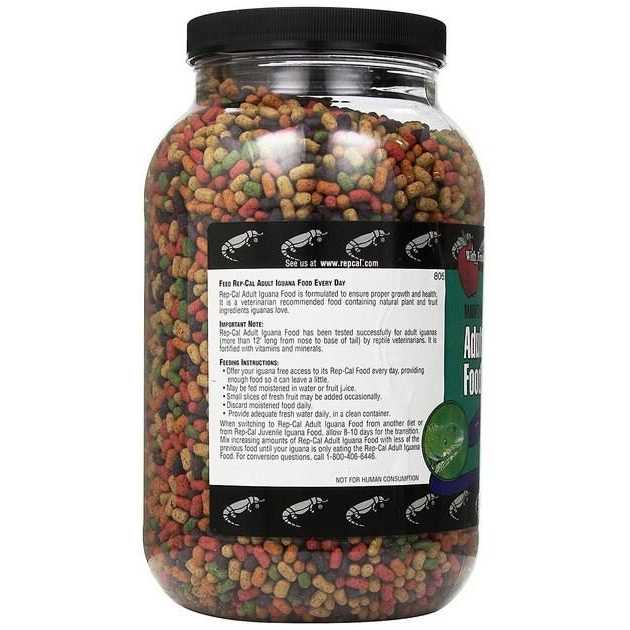 Adult Iguana Food R256930