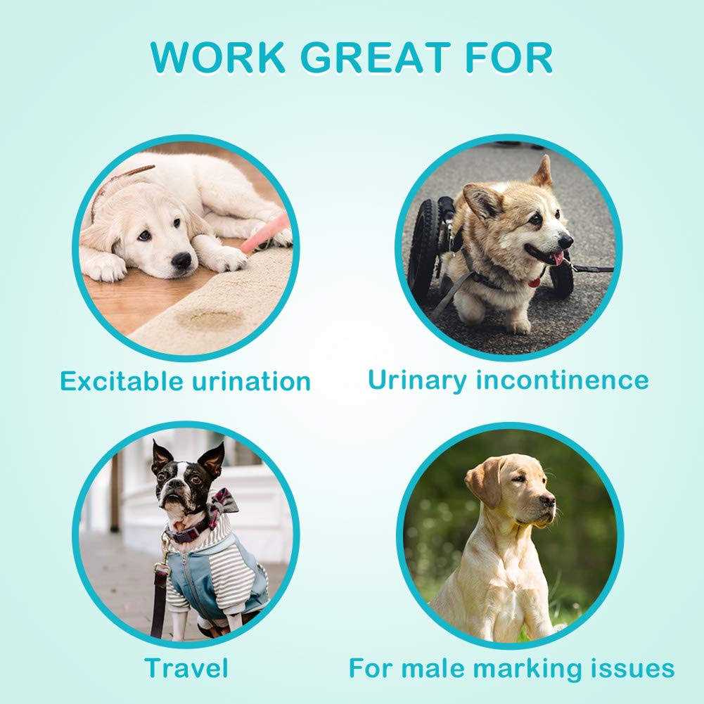 Absorbent Male Dog Wraps Belly Bands with Leak Protection D60573