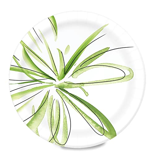Everyday Paper Plates, 8.62 Inch, 100 Count Y107