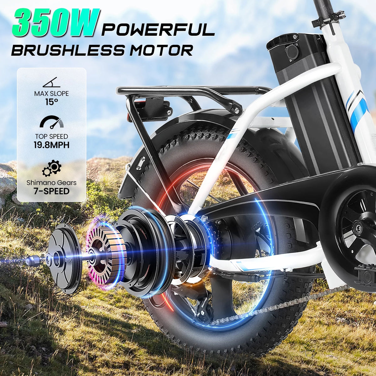 Foldable 350W Electric Bike with 48V Battery B427