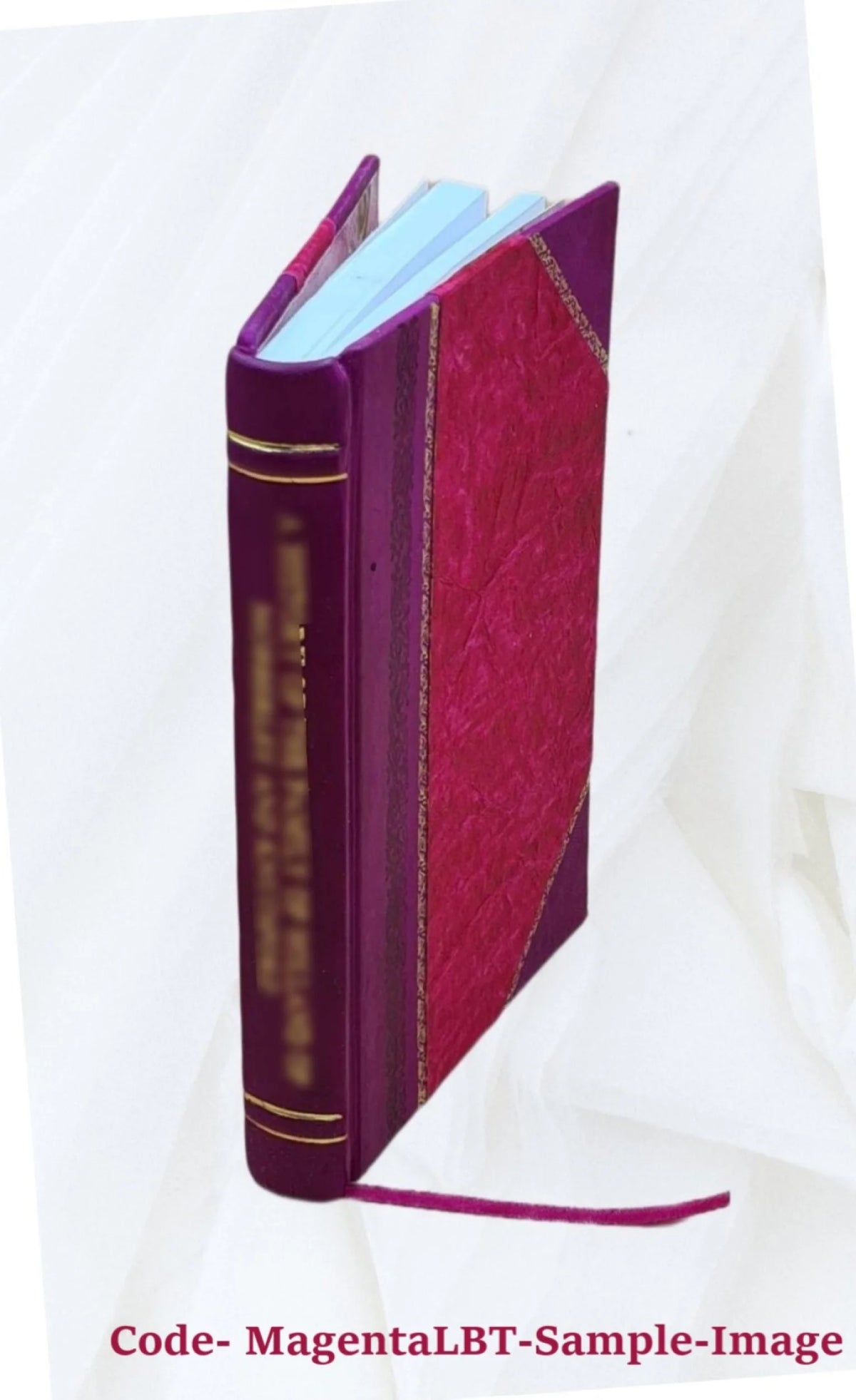 Leather Bound Volume Brief of Appellant E77672