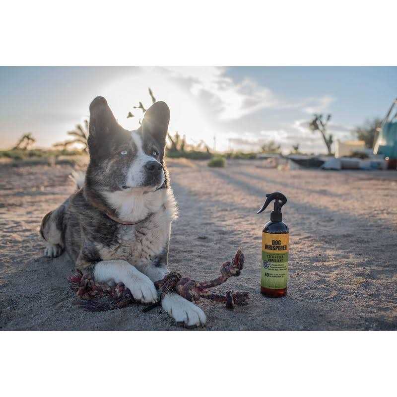 Tick Flea Repellent Pet Supplies H765