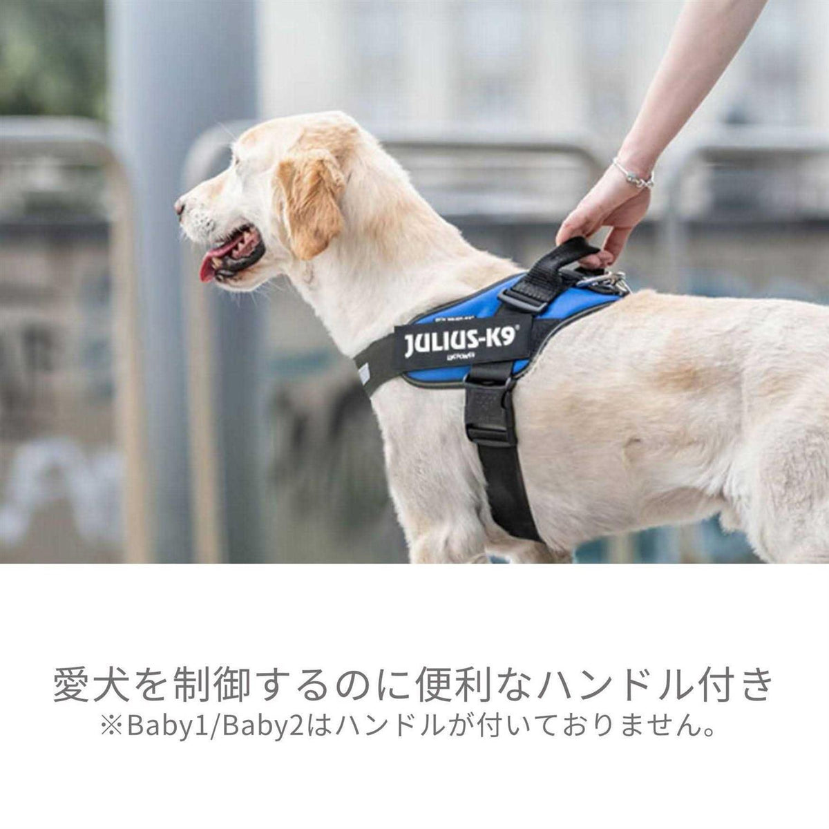 Powerharness Y4727