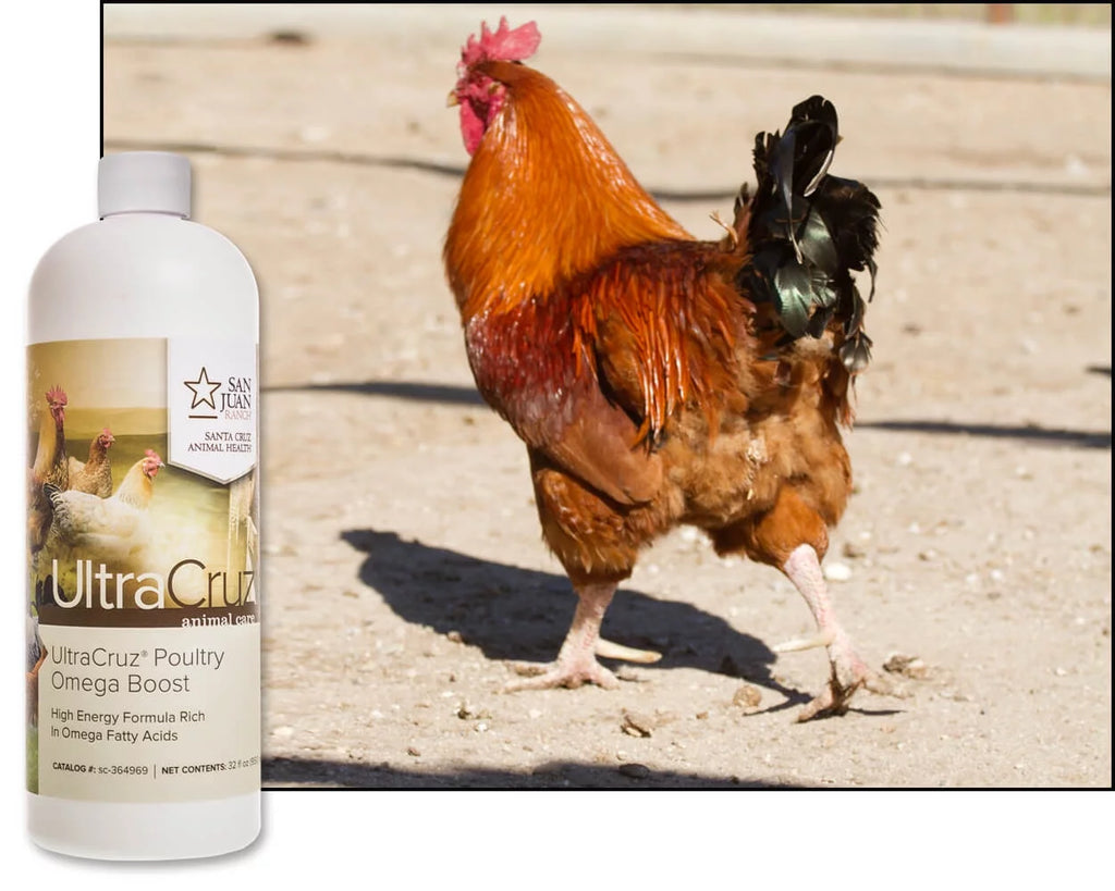 Poultry Supplement 32 oz P826000