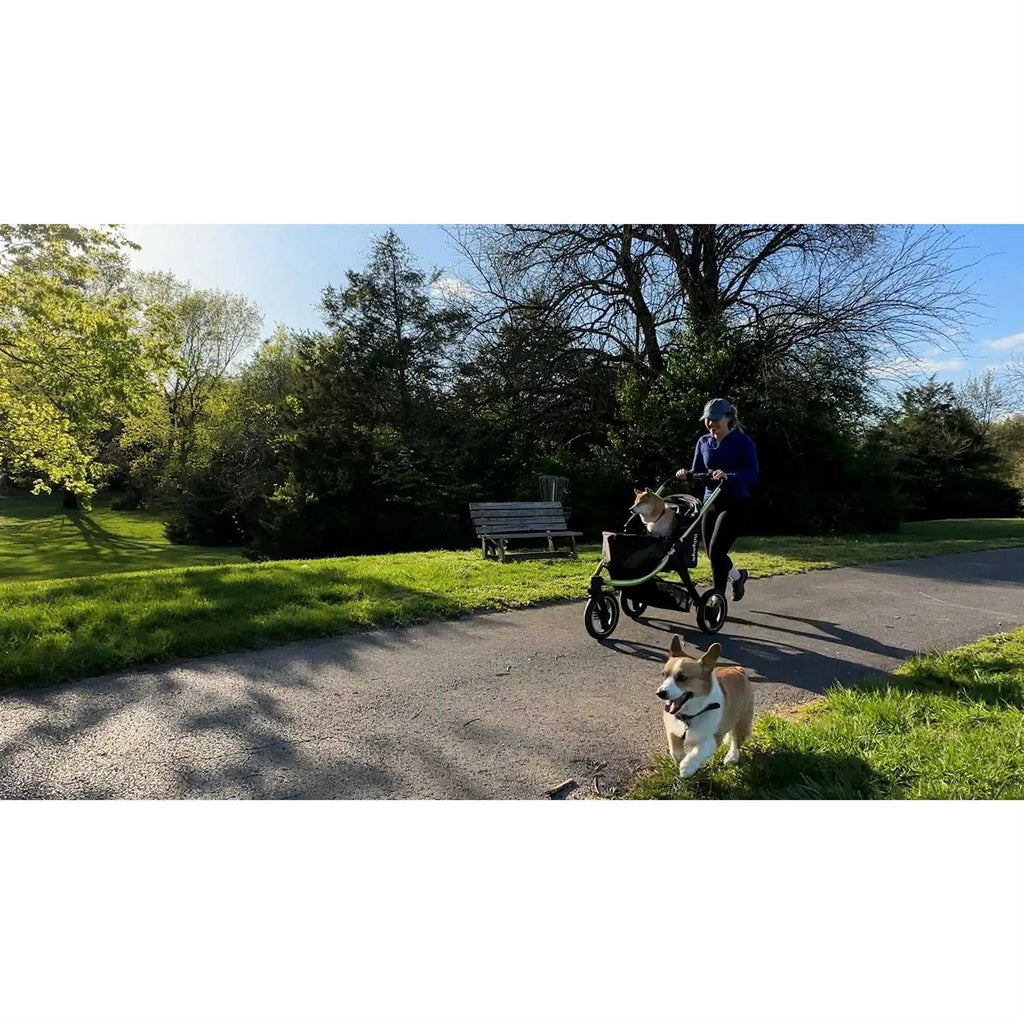 All Terrain Pet Jogging Stroller Y3899