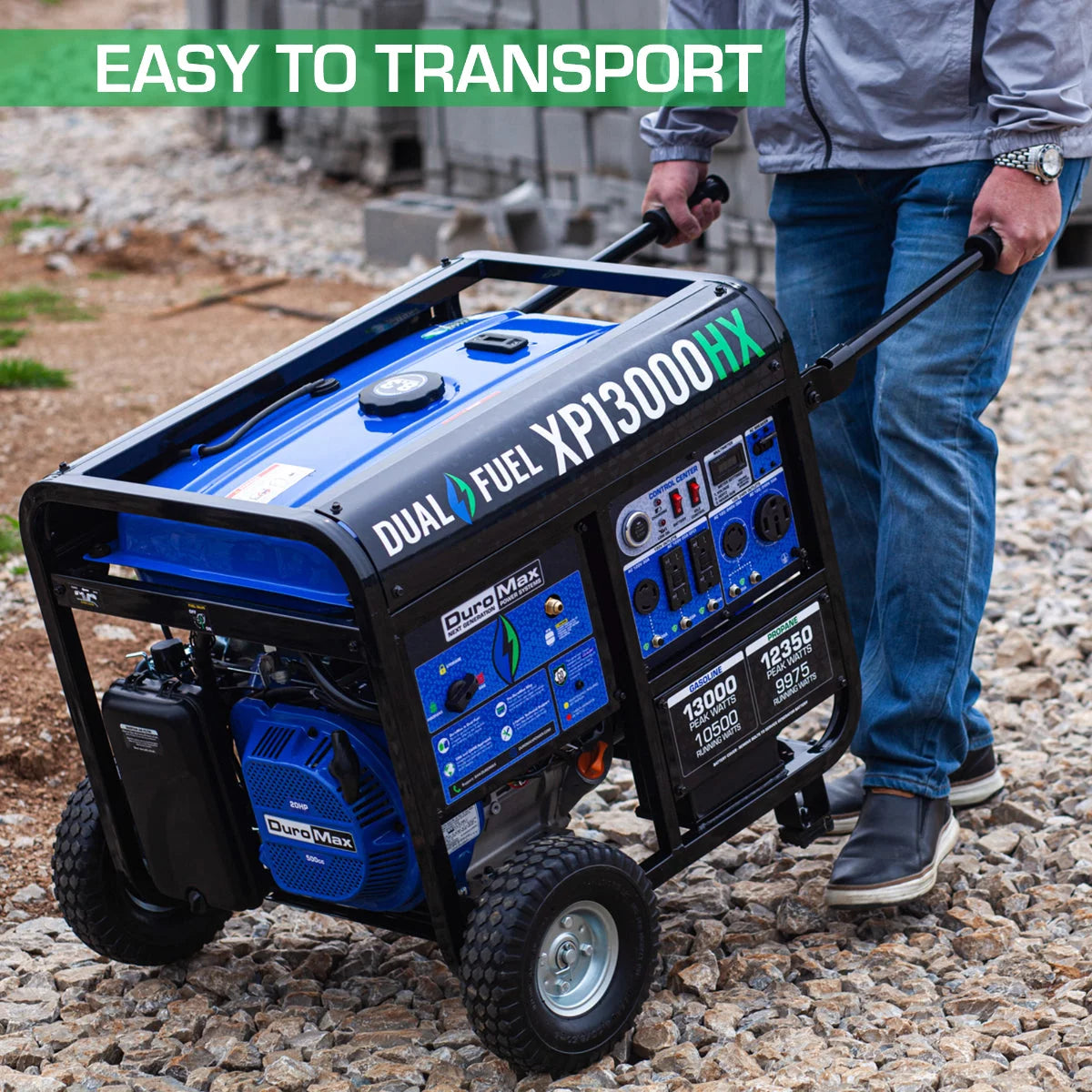 13,000 Watt Dual Fuel Portable Generator S224