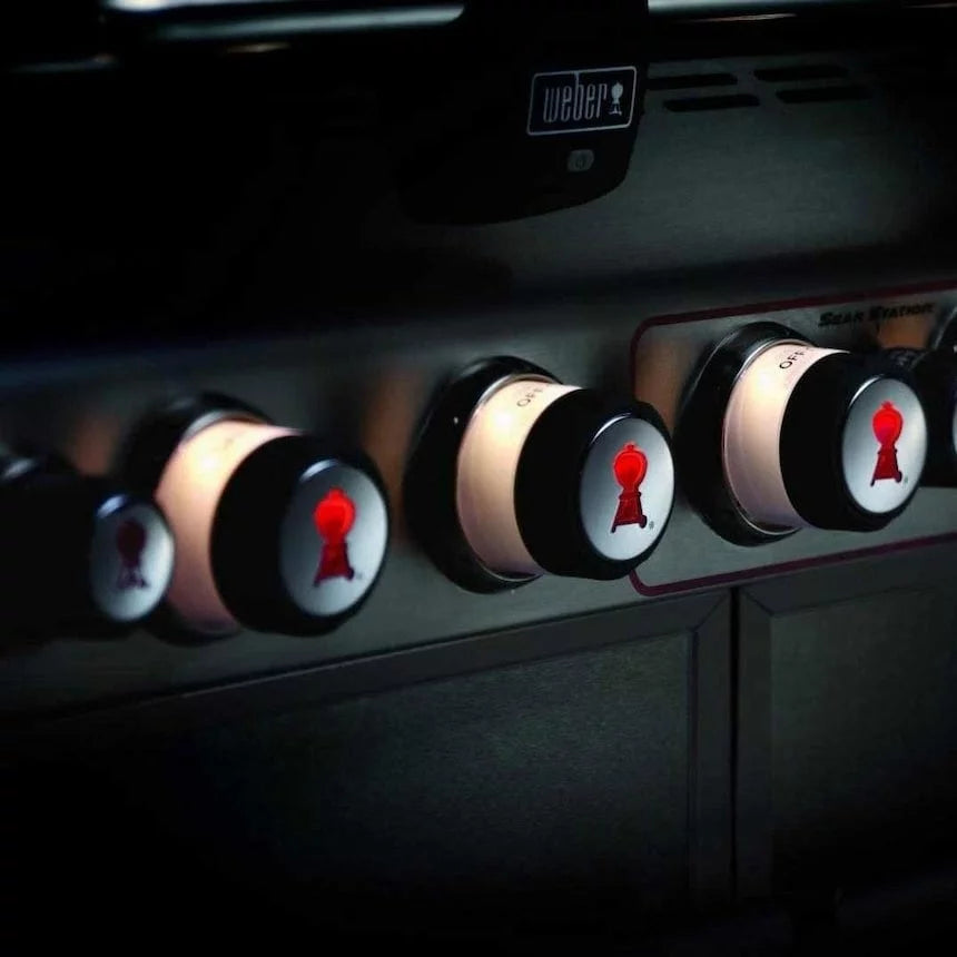 Natural Gas Stainless Steel Y12650