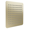 Oversized Shower Head in Champagne Bronze L3396