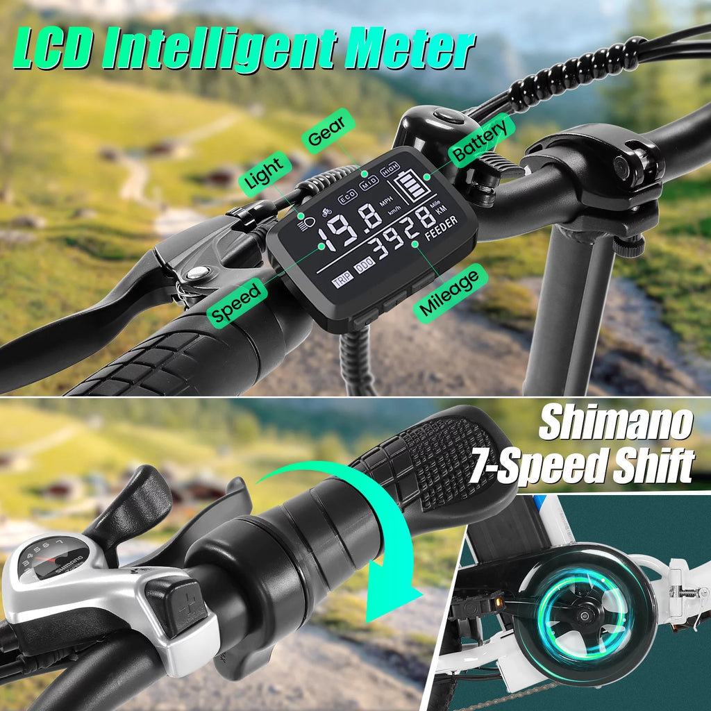 Foldable 350W Electric Bike with 48V Battery B427