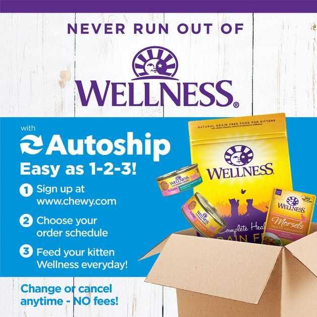 Kitten Canned Wet Cat Food Y596336