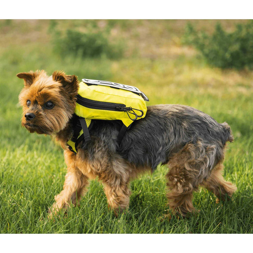 Walk On with Harness & Storage F105